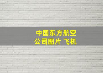 中国东方航空公司图片 飞机